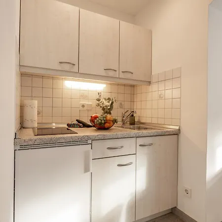 Apartment Haus Dippel Am Kurpark Inklusive Chiemgaukarte Ruhpolding